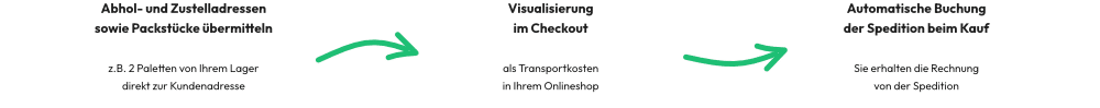 API Prozess im Checkout Ihres Onlineshops